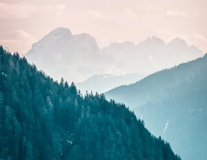 阿斯顿维拉强势崛起，成为黑马搅局者