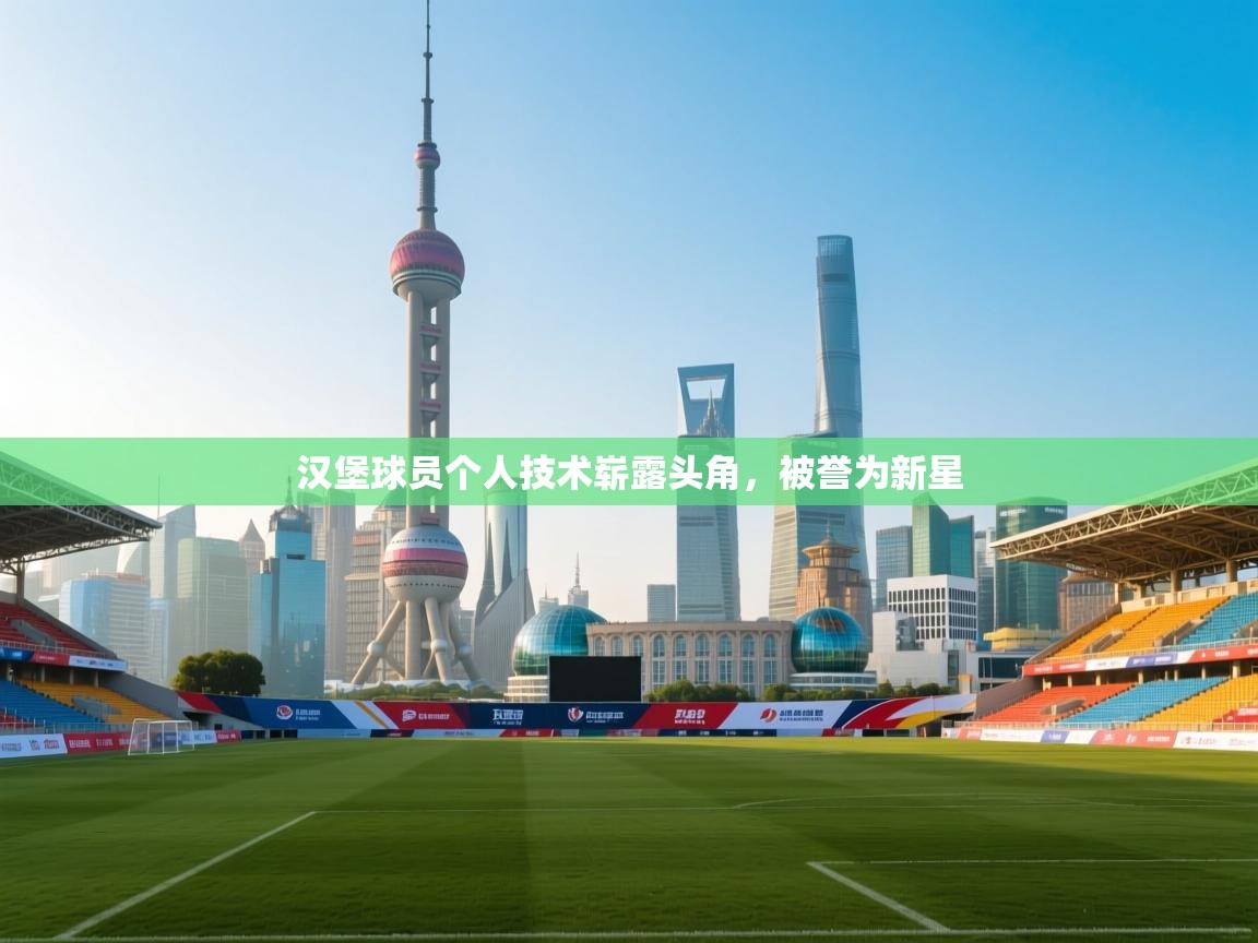 汉堡球员个人技术崭露头角,被誉为新星