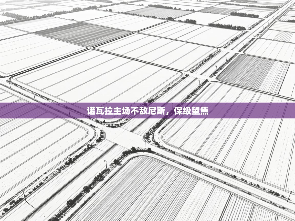 诺瓦拉主场不敌尼斯，保级望焦